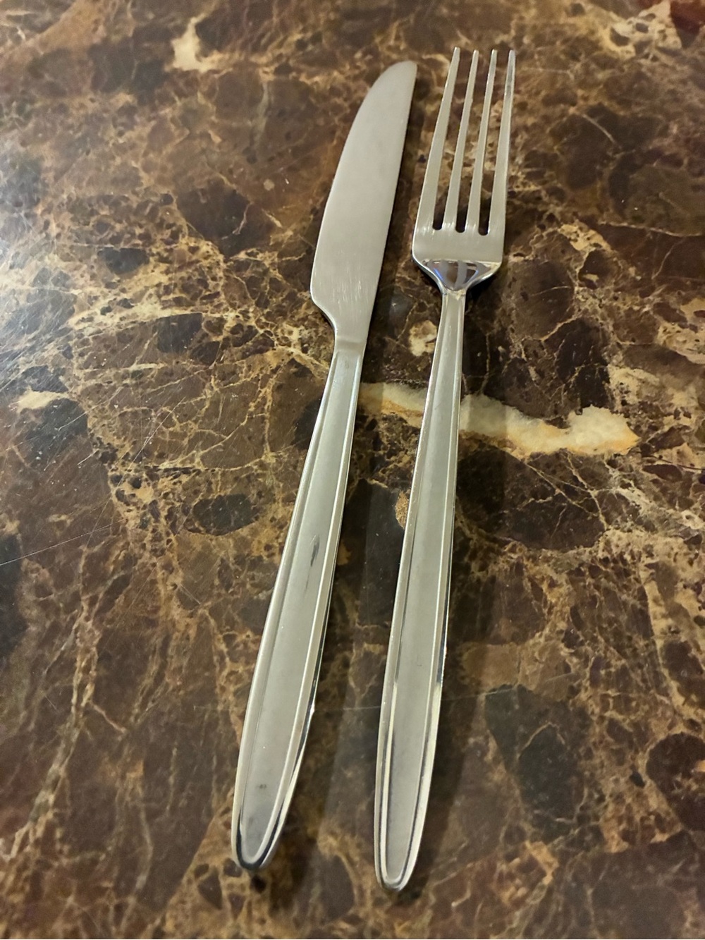 Stainless Steel Satin Handle Dinner Knife and Dinner Fork Cambridge